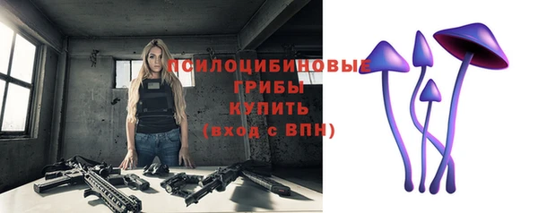 спиды Александровское
