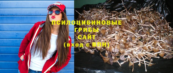а пвп мука Яровое