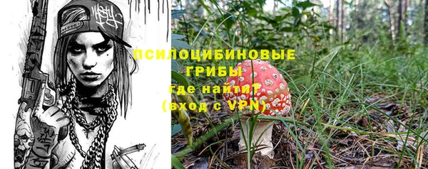 apvp Яранск