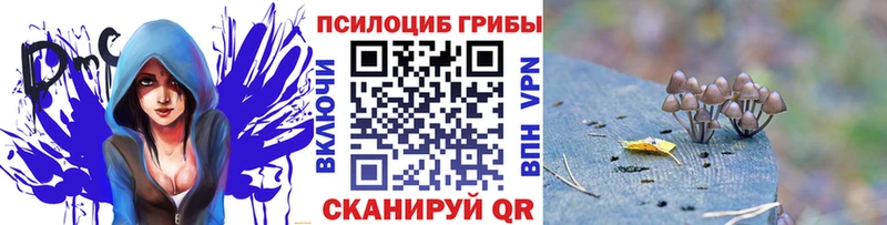 Галлюциногенные грибы MAGIC MUSHROOMS  Дербент 